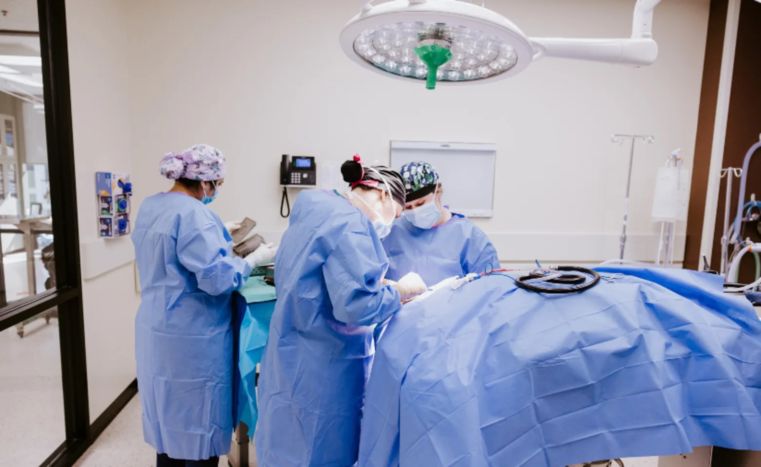 DVSC surgeons DVSC surgeons