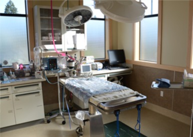 Brookfield Veterinary Hospital Surgery Room