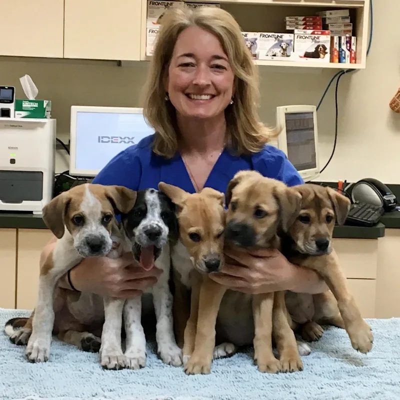 Dr. Nicole Brook Dr. Nicole Brook