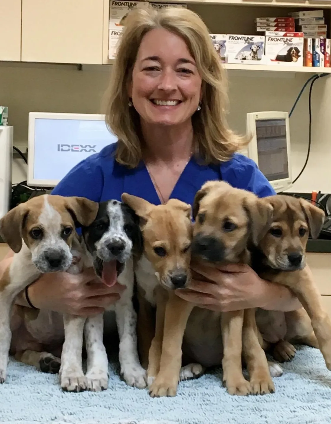 Dr. Nicole Brook Dr. Nicole Brook