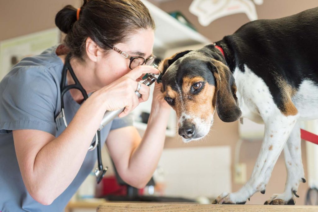 Dr. Felicia Uriarte performing a full physical examination on a patient.