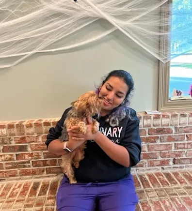 Stephany Wilson Stephany Wilson