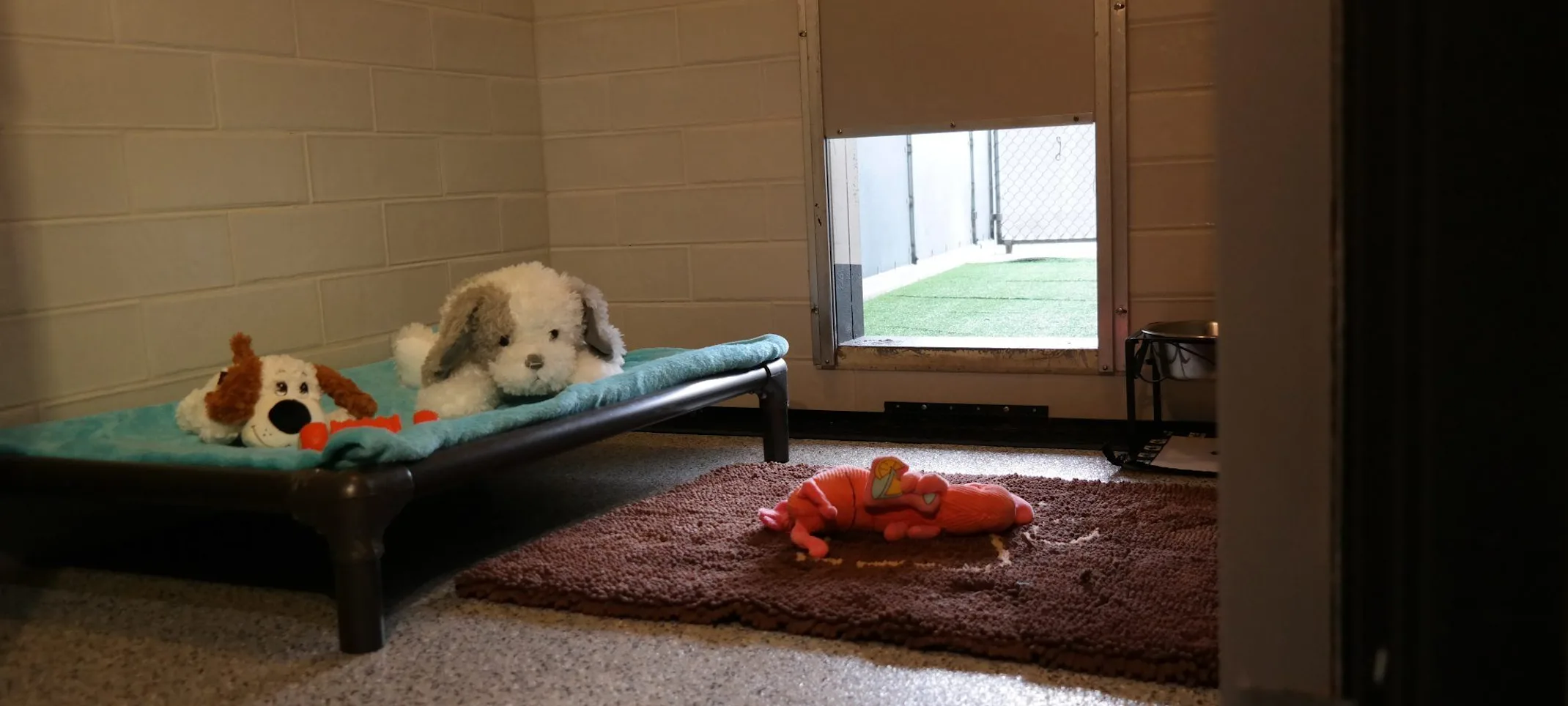 Happy Tails Pet Resort Large Luxury Suite Happy Tails Pet Resort Large Luxury Suite