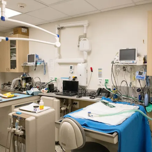 Dental suite - room filled with dental machines. Dental suite - room filled with dental machines.