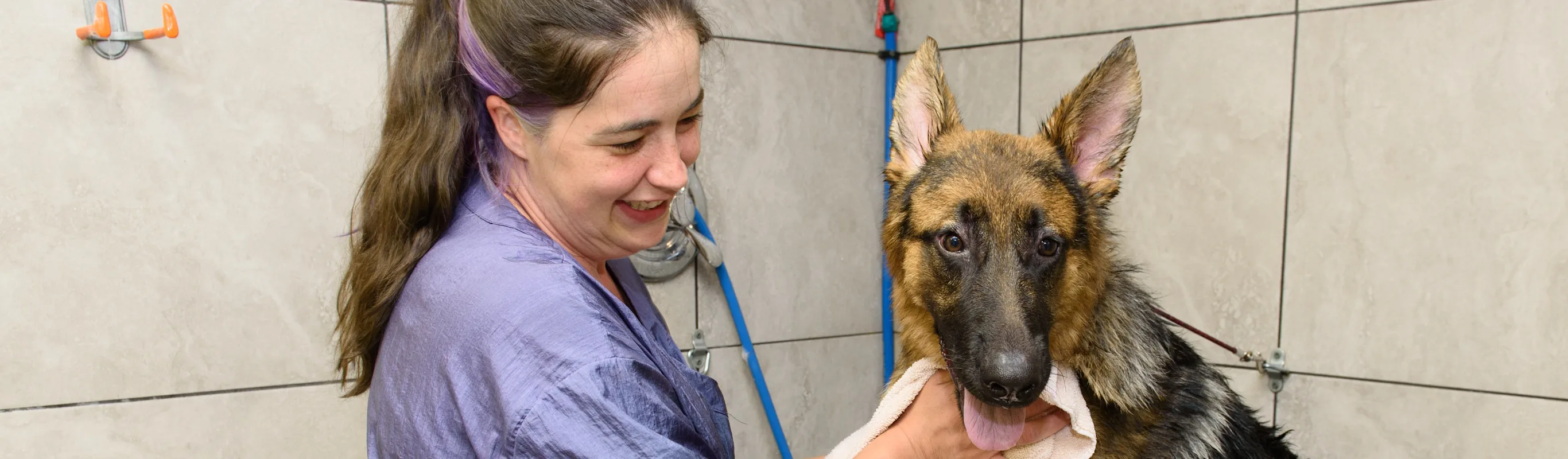 Groomer toweling a dog dry at South Suburban Animal Hospital