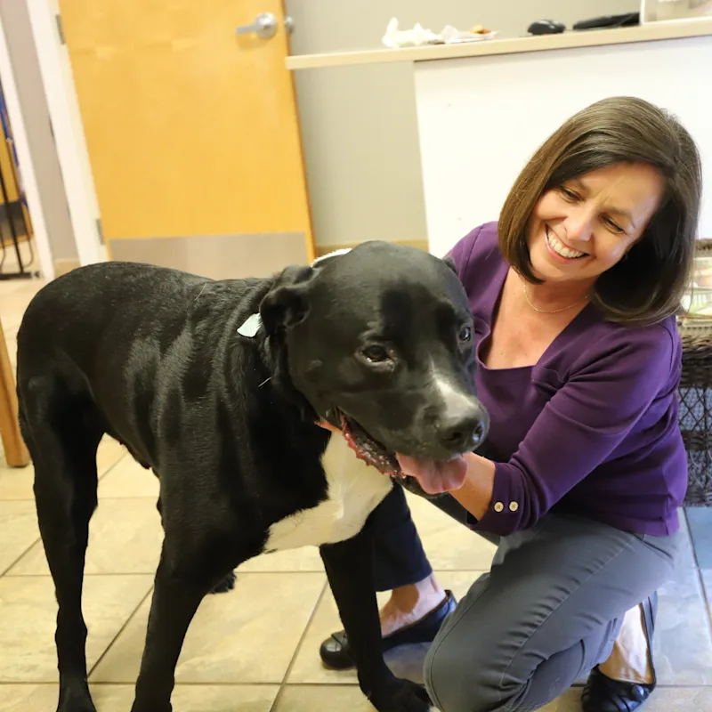 Dr. Julie McBride Dr. Julie McBride