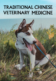 traditional chinese veterinary medicine 
