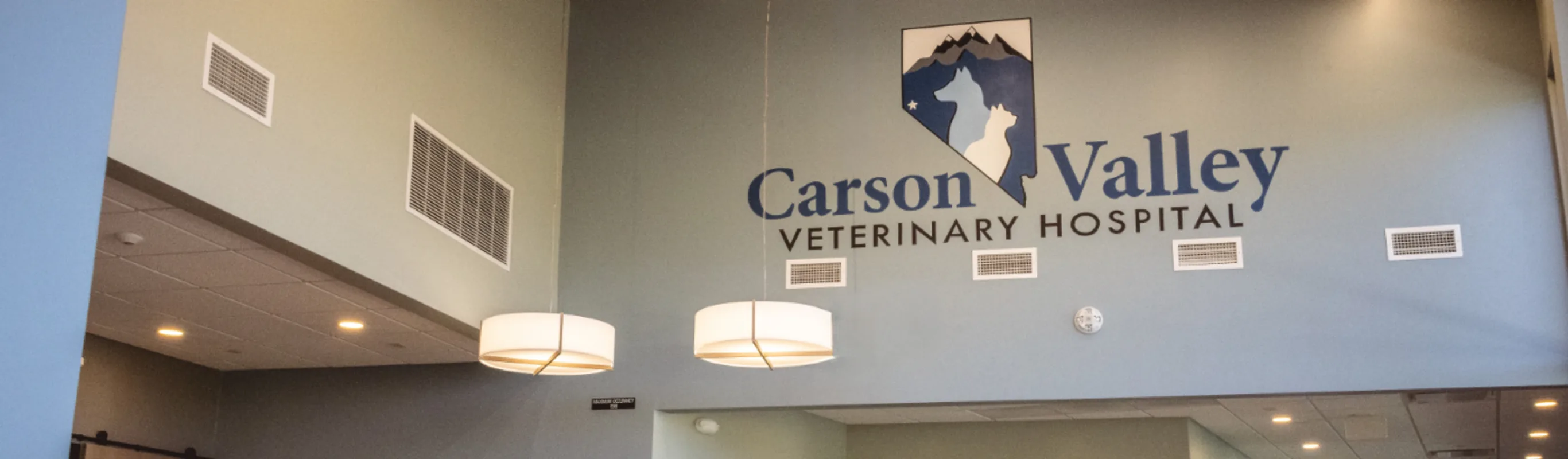 Carson Valley Veterinary Hospital lobby Carson Valley Veterinary Hospital lobby