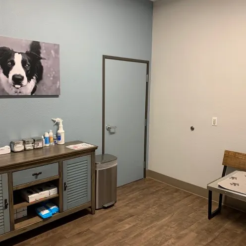 Exam room at All Creatures Animal Clinic