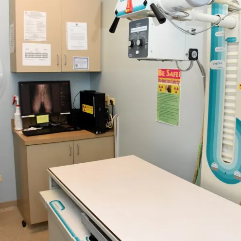 X-Ray Room X-Ray Room