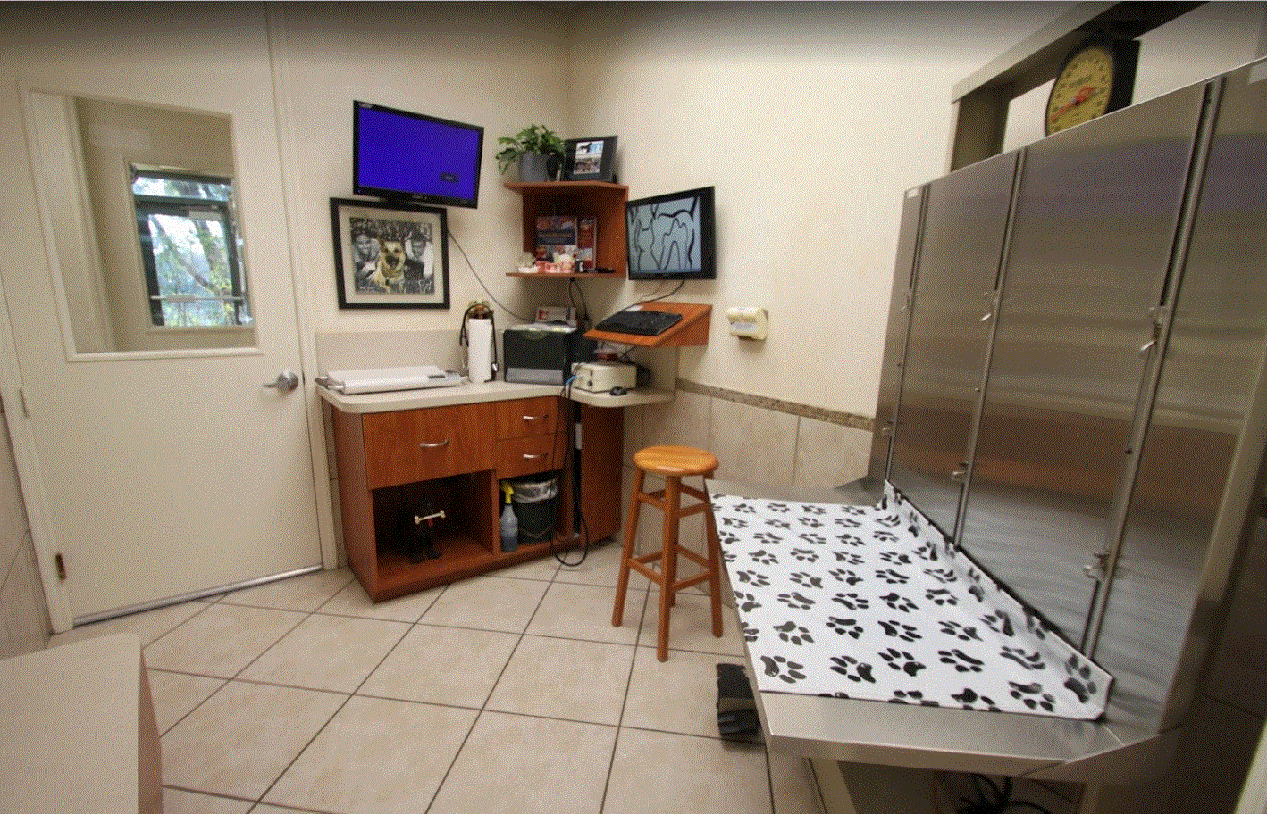 Hometown Animal Hospital - Medical Room 7