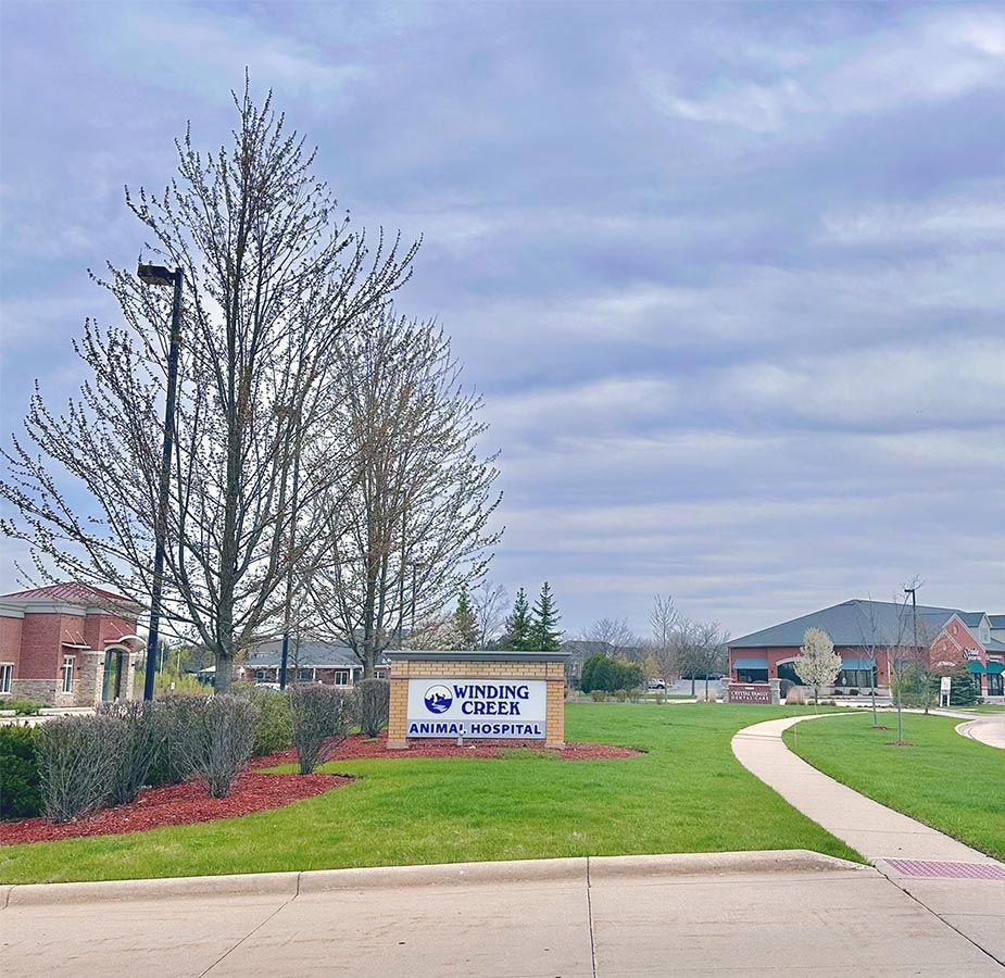Exterior Sign of Winding Creek Animal Hospital 