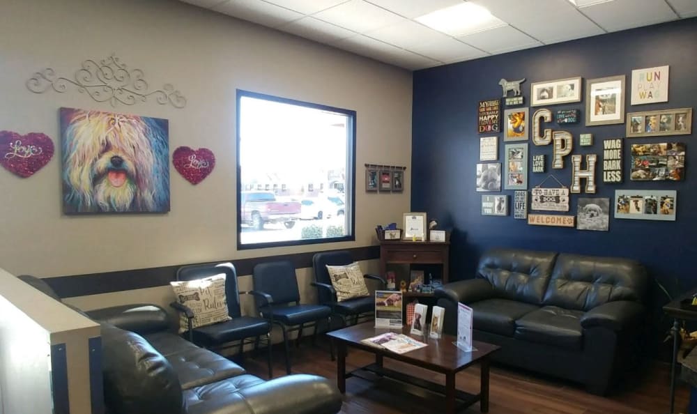 Catalina Pet Hospital Lobby