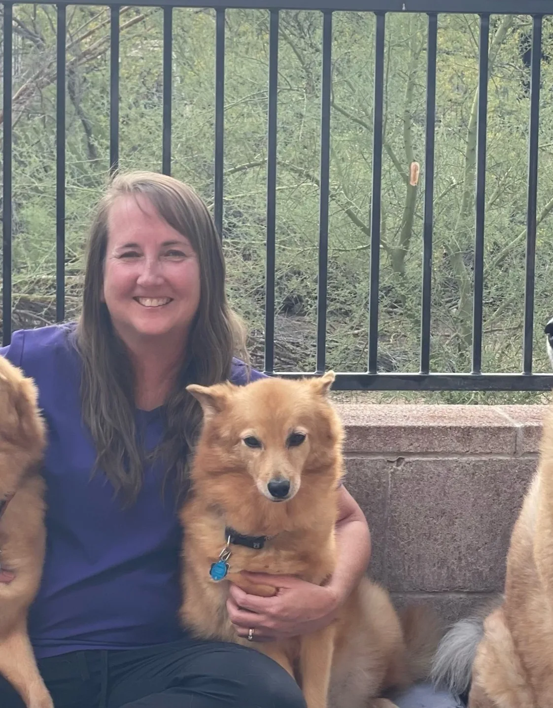 Dr. Janice Wray Dr. Janice Wray