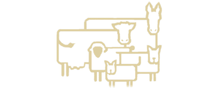Prescott Animal Hospital Logo Prescott Animal Hospital Logo