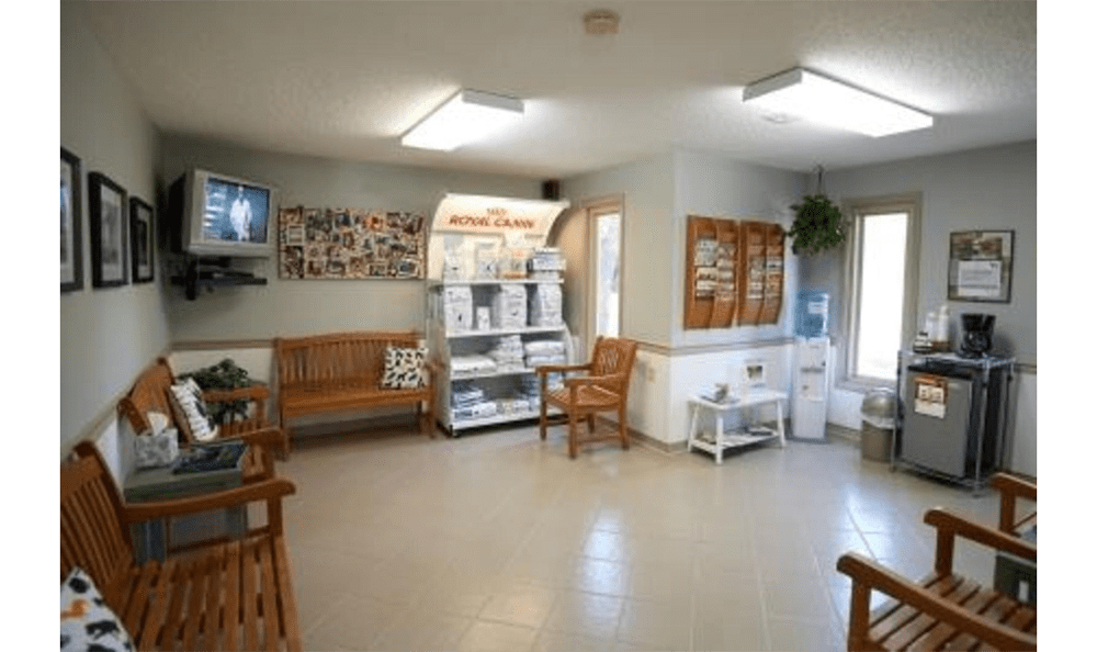 Princess Anne Veterinary Hospital Waiting Room