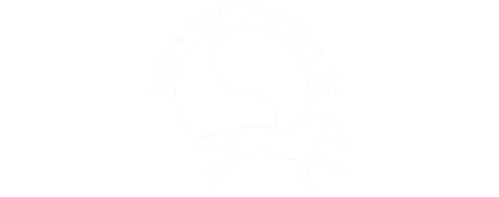 Equine Veterinary Care Logo Equine Veterinary Care Logo