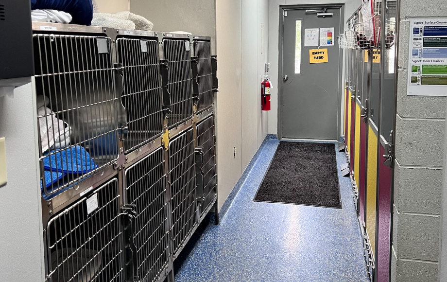 Boarding Room 2 at Roxboro Animal Hospital