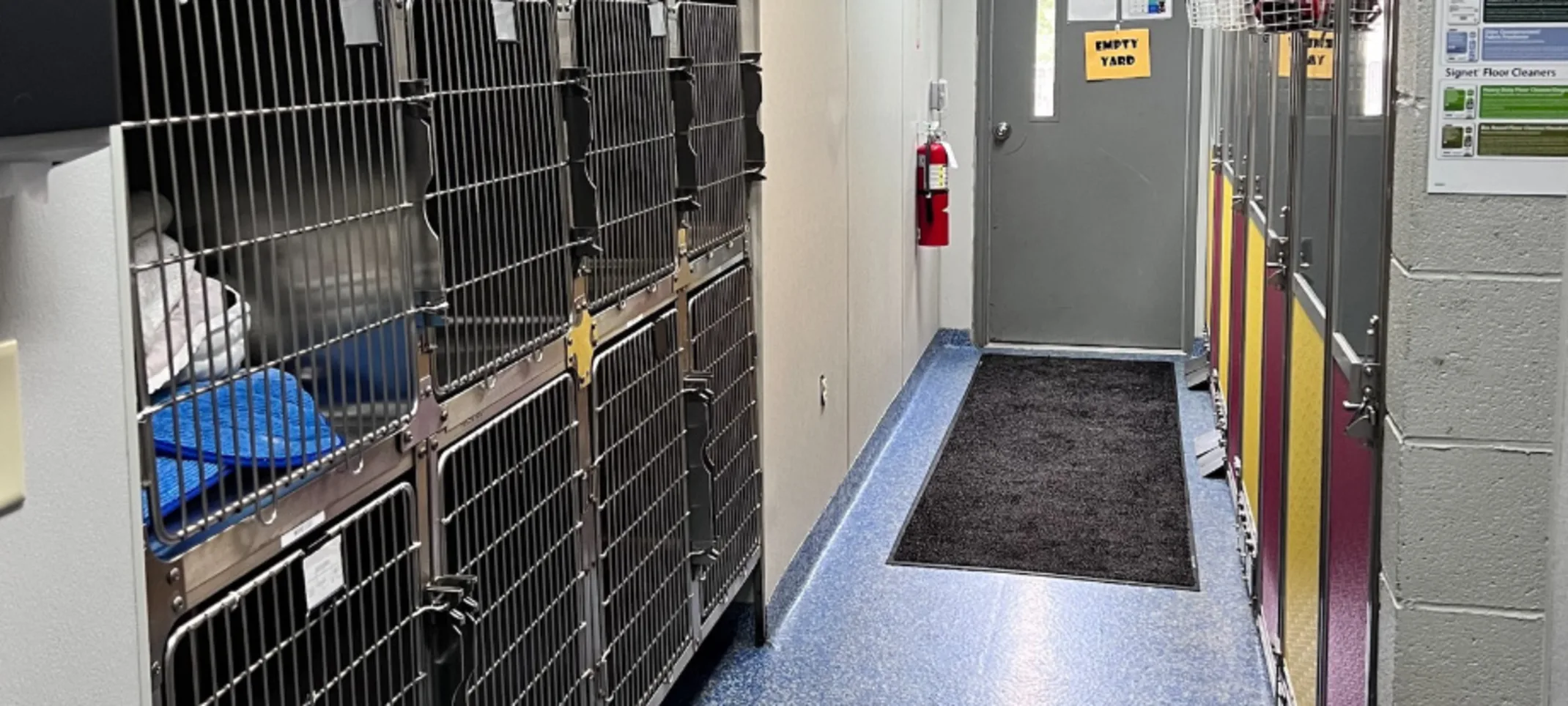 Boarding Room 2 at Roxboro Animal Hospital Boarding Room 2 at Roxboro Animal Hospital