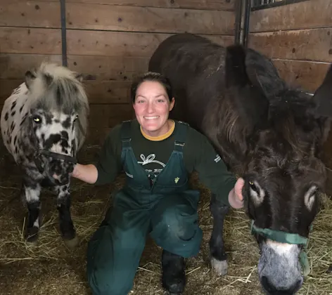 Peotone Animal Hospital Staff member with equines Peotone Animal Hospital Staff member with equines