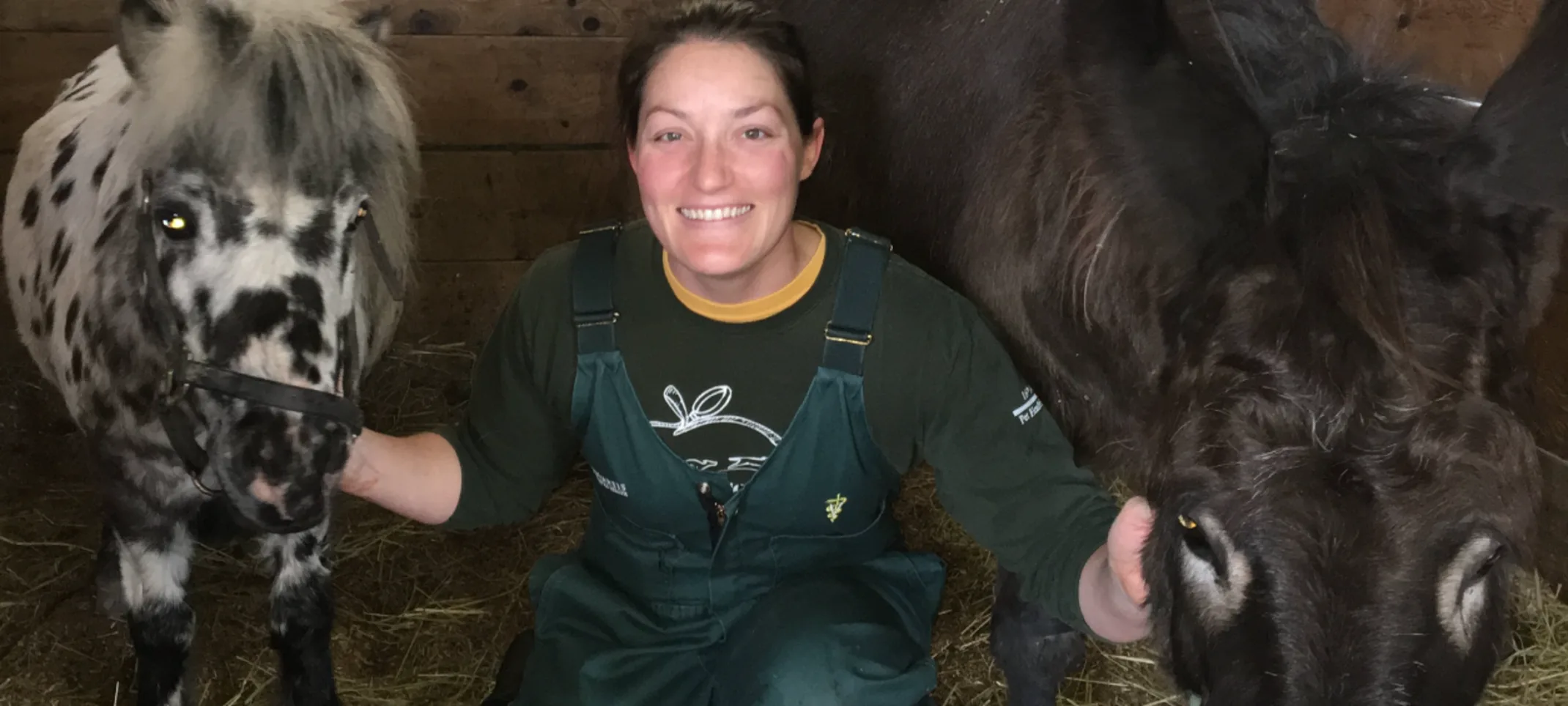 Peotone Animal Hospital Staff member with equines Peotone Animal Hospital Staff member with equines