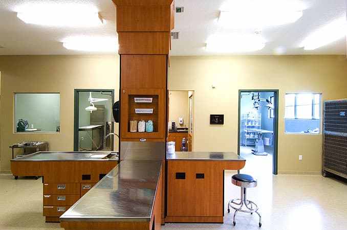 Braden River Animal Hospital Treatment Tables