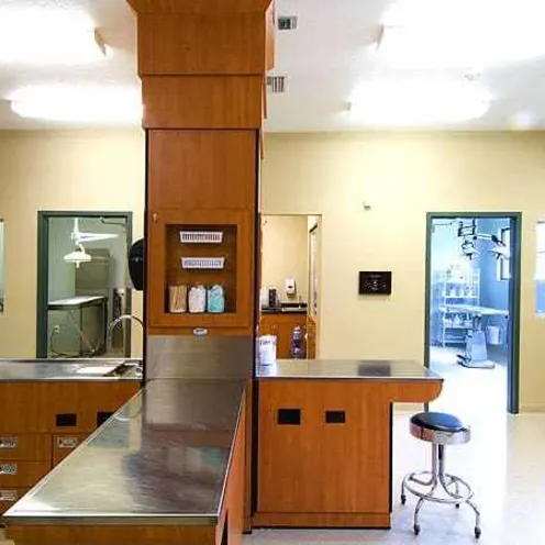 Braden River Animal Hospital Treatment Tables Braden River Animal Hospital Treatment Tables