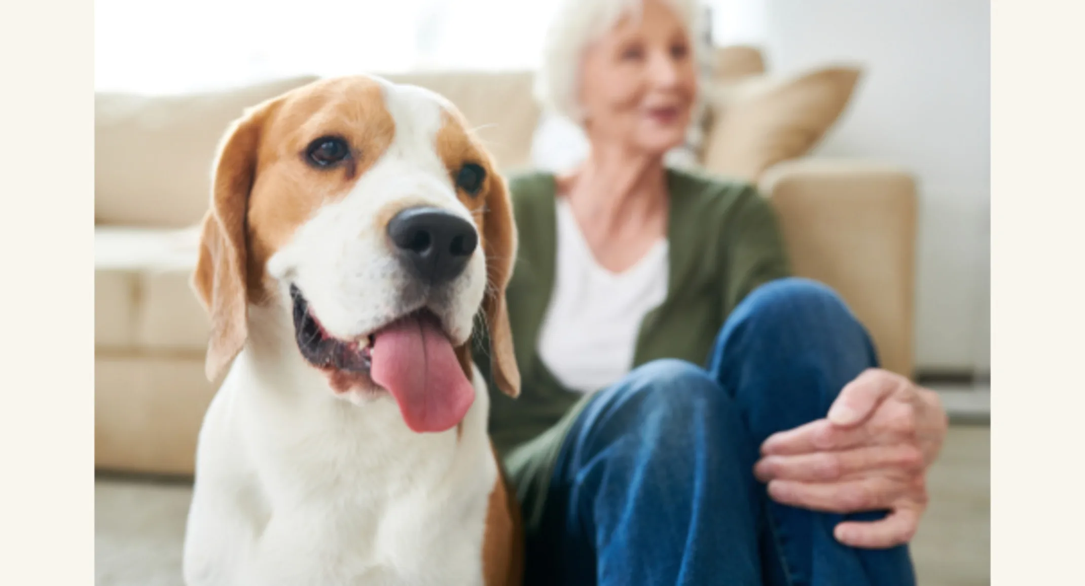Dog Sitting Next to Woman at Home Dog Sitting Next to Woman at Home