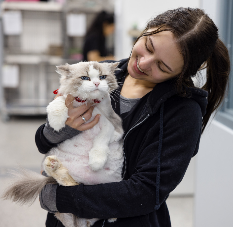 Staff member holding and smiling at cat