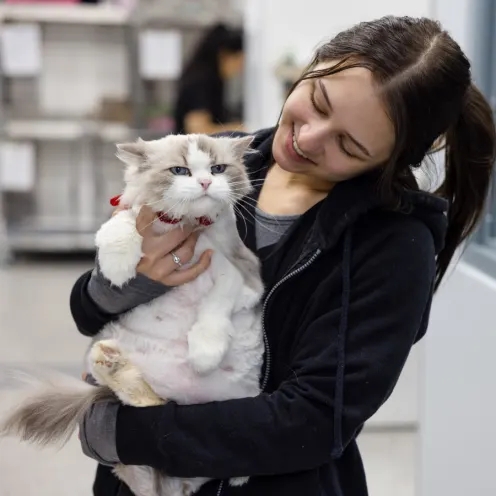 Staff member holding and smiling at cat