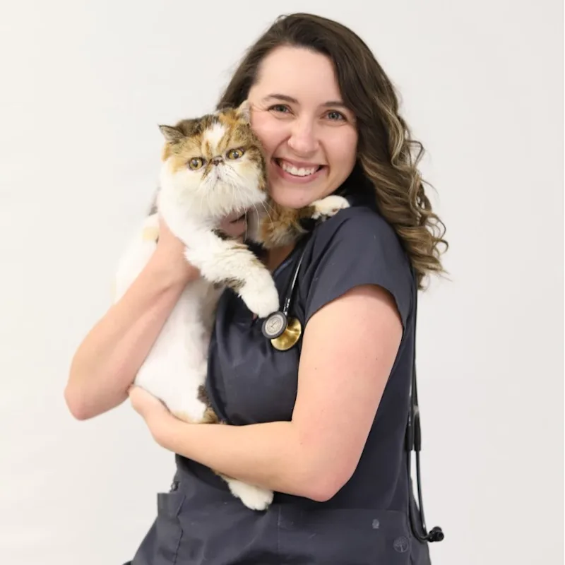 Dr. Kaitlyn McBane Dr. Kaitlyn McBane