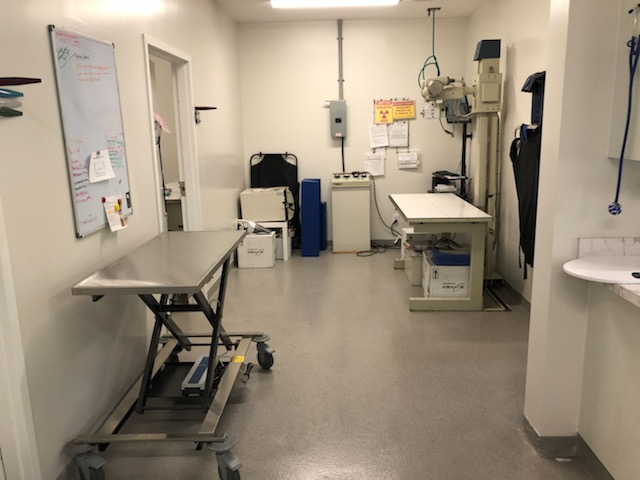 Treatment area with xray equipment