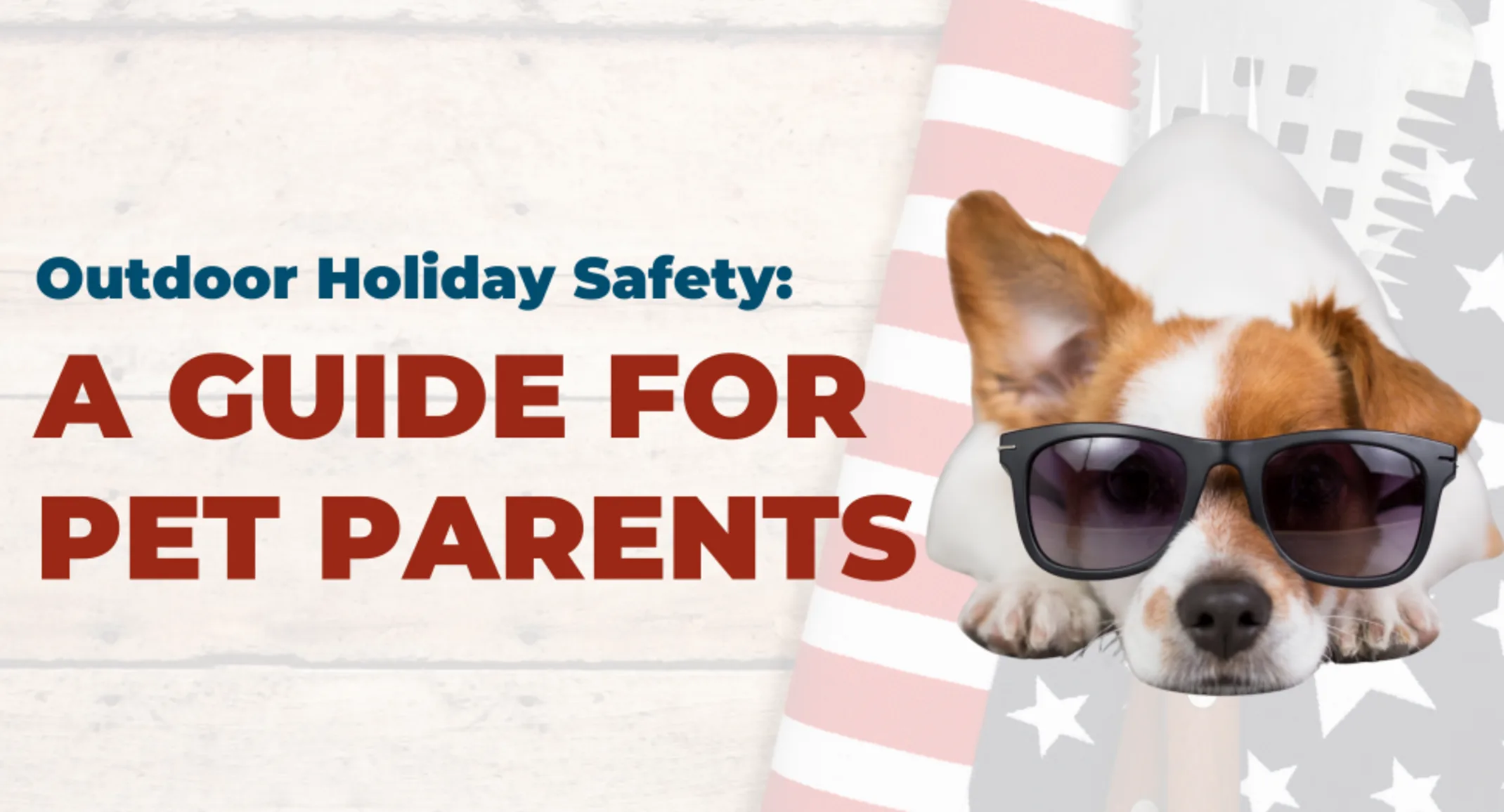 Outdoor holiday safety photo with dog wearing sunglasses Outdoor holiday safety photo with dog wearing sunglasses