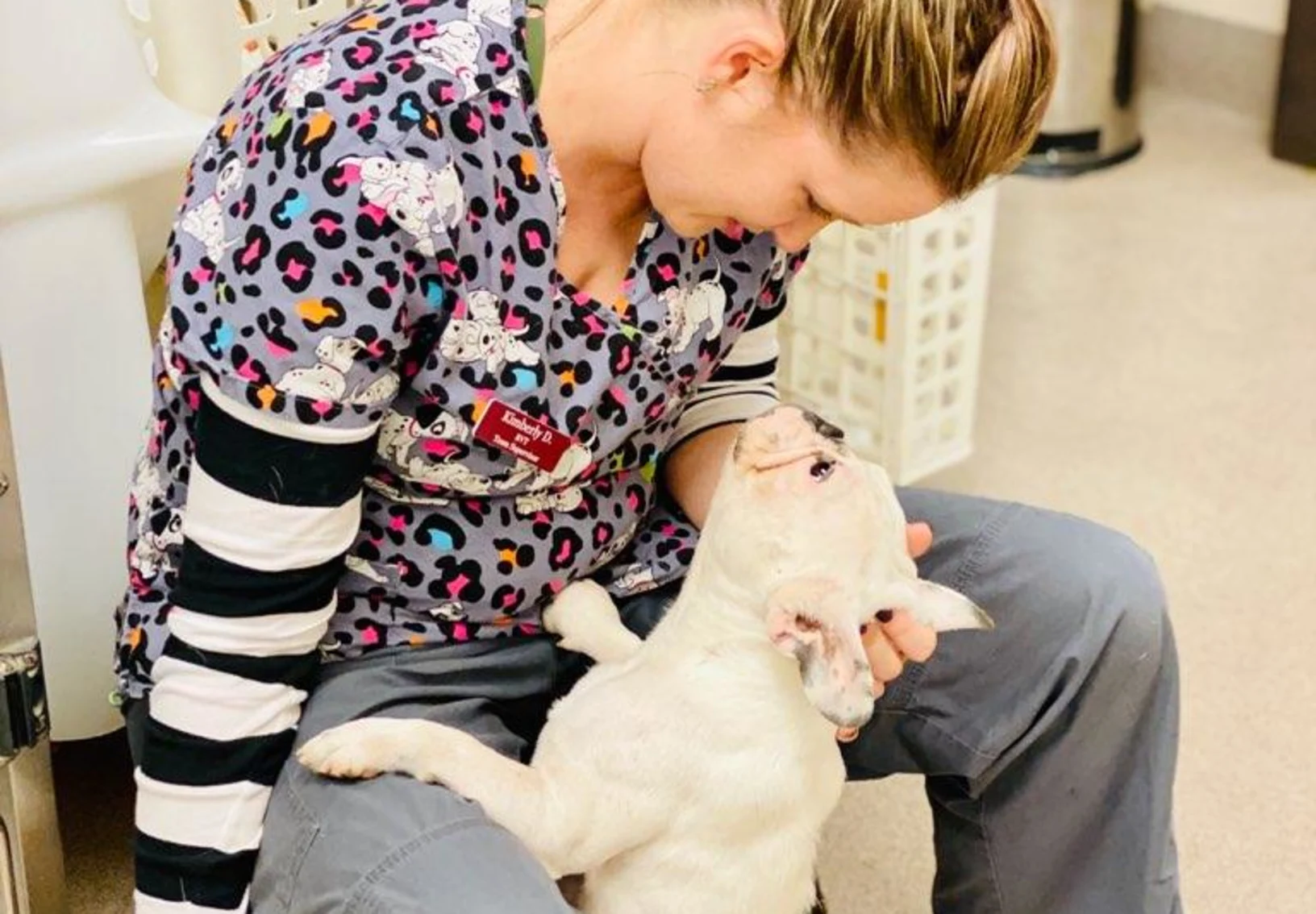 Abby Pet Hospital - Buster and Kim Abby Pet Hospital - Buster and Kim