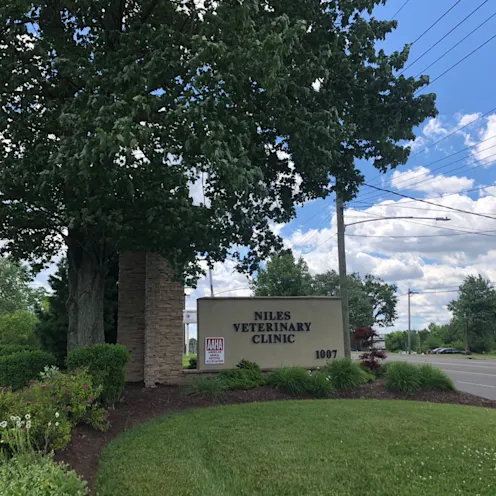Hospital Outside Sign with grassy field Hospital Outside Sign with grassy field