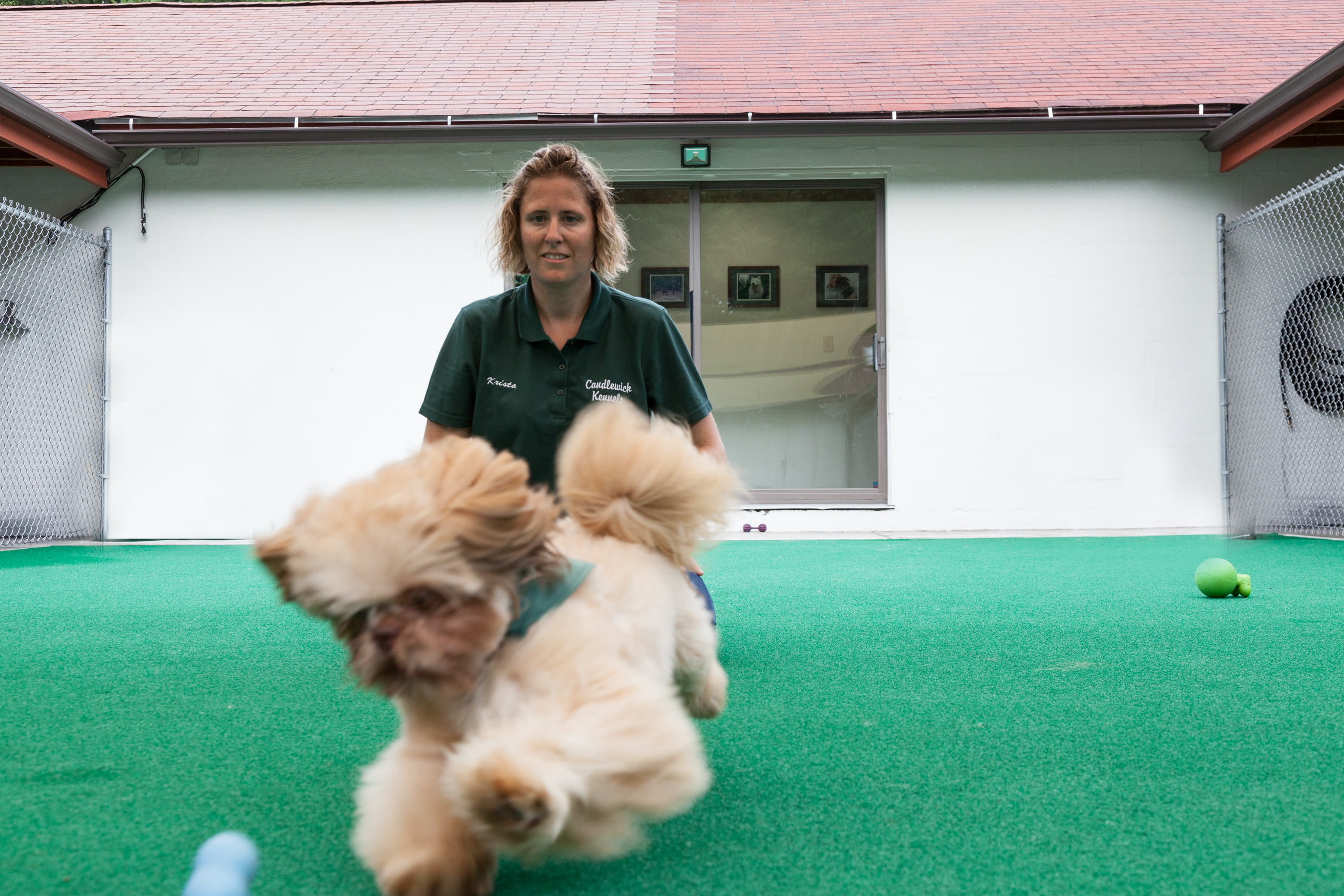 Candlewick Kennels Small Dog Yard
