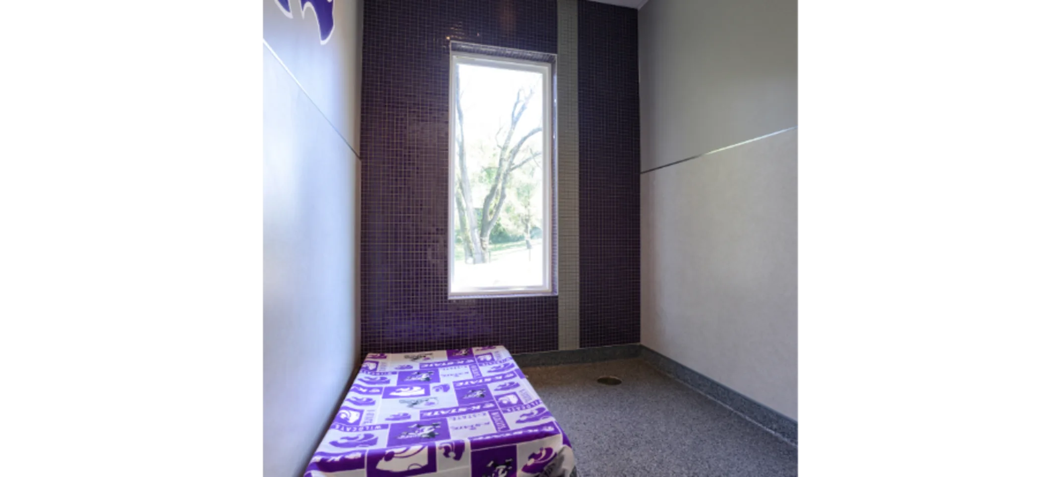 Purple Street Purple Street