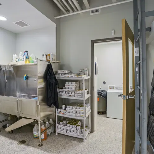 Bathing Area Bathing Area