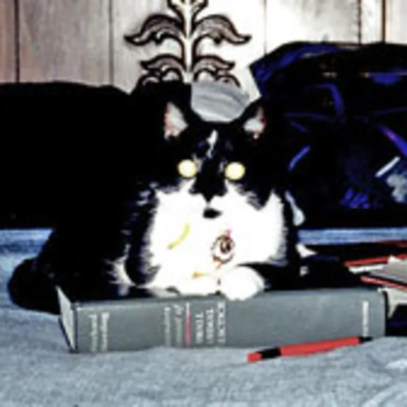 Dr. Dawn Martinez Dr. Dawn Martinez