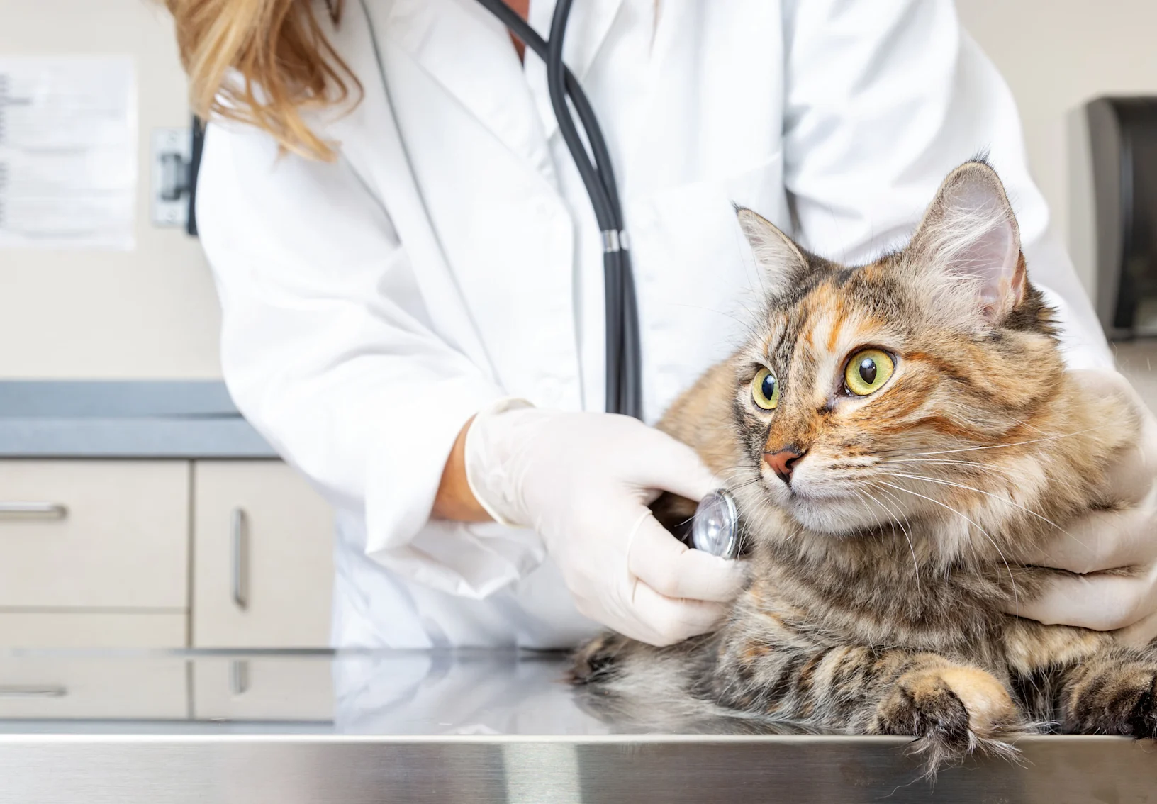 Internal Medicine Internal Medicine
