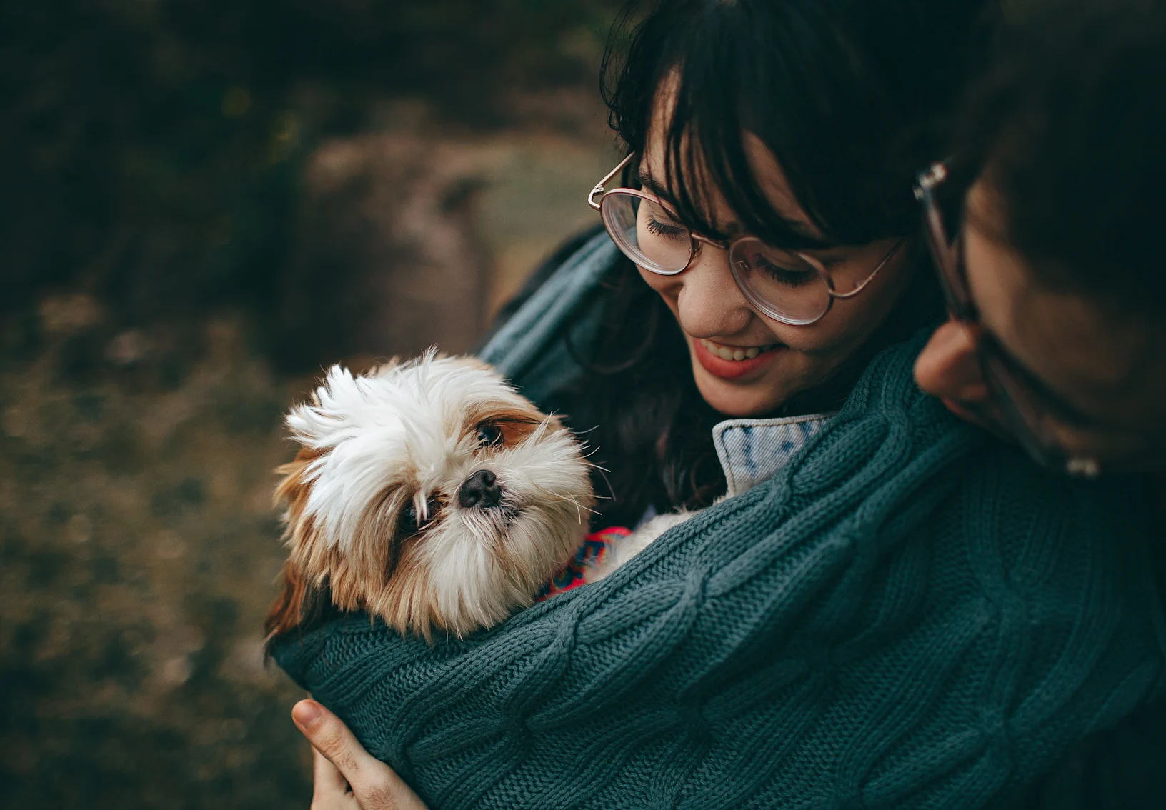 Young couple hugging their shih tzu pup Young couple hugging their shih tzu pup