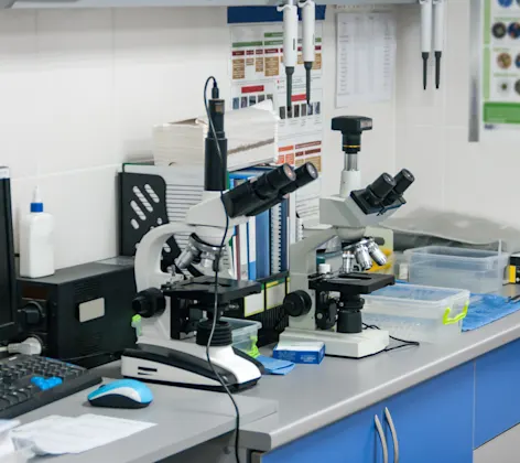 Microscopes sitting on a work bench in a veterinarian's office Microscopes sitting on a work bench in a veterinarian's office