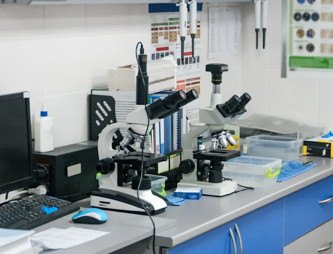 Microscopes sitting on a work bench in a veterinarian's office Microscopes sitting on a work bench in a veterinarian's office