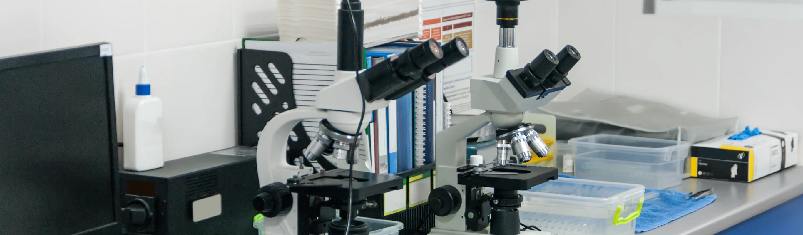 Microscopes sitting on a work bench in a veterinarian's office Microscopes sitting on a work bench in a veterinarian's office