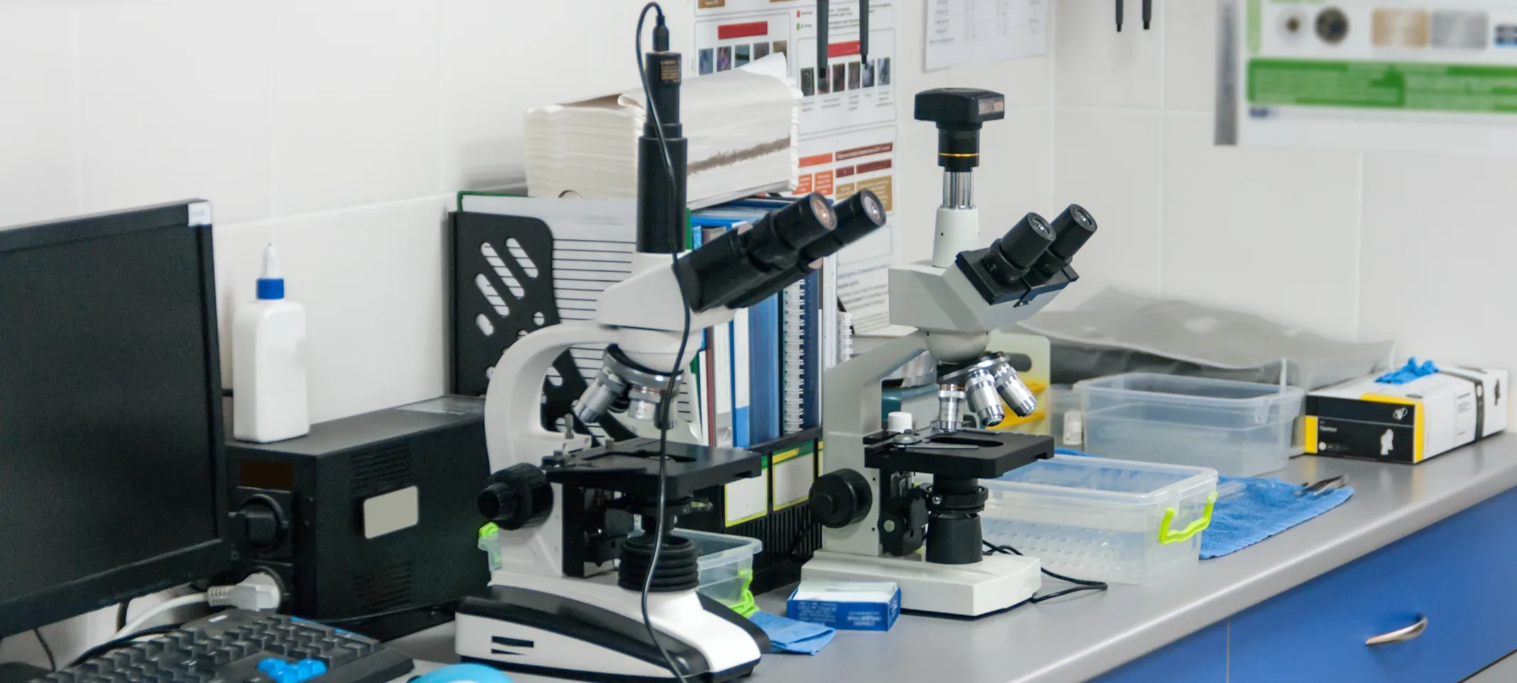 Microscopes sitting on a work bench in a veterinarian's office Microscopes sitting on a work bench in a veterinarian's office