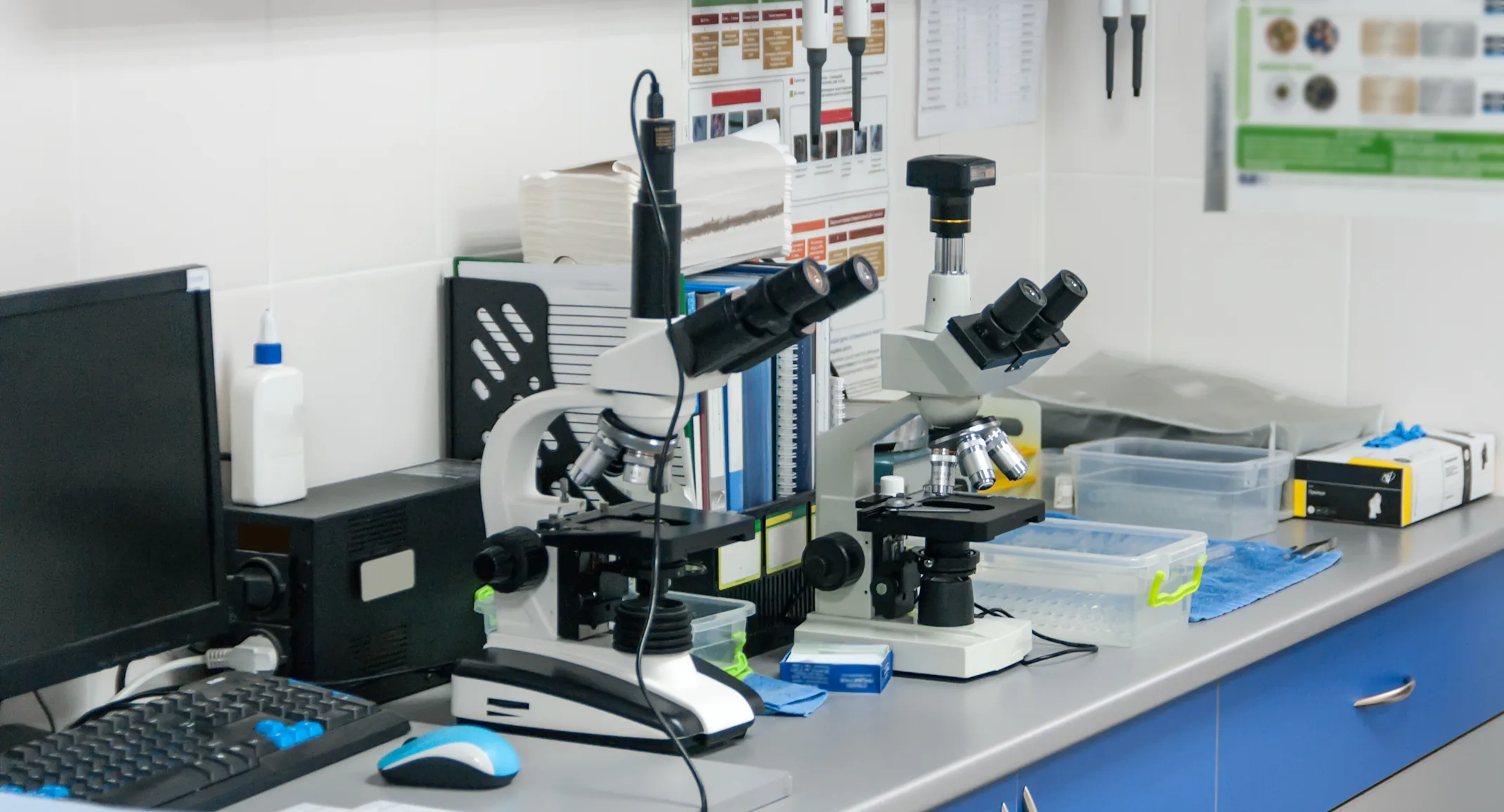 Microscopes sitting on a work bench in a veterinarian's office Microscopes sitting on a work bench in a veterinarian's office