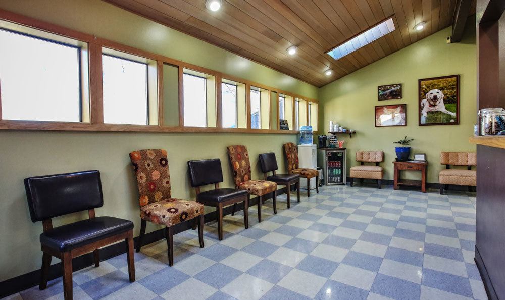Kitsap Veterinary Hospital Lobby area