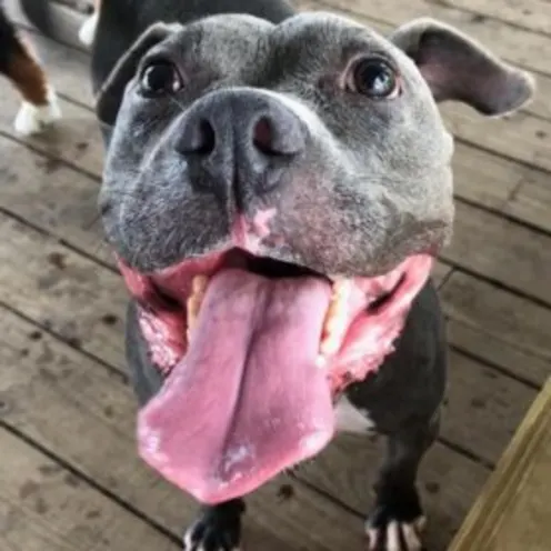 Rhett Meyers Rhett Meyers