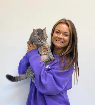 Rachel, resort manager at PetSuites Sharonville, holding up a gray cat