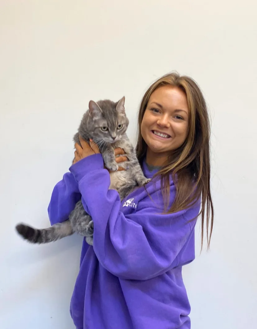 Rachel, resort manager at PetSuites Sharonville, holding up a gray cat